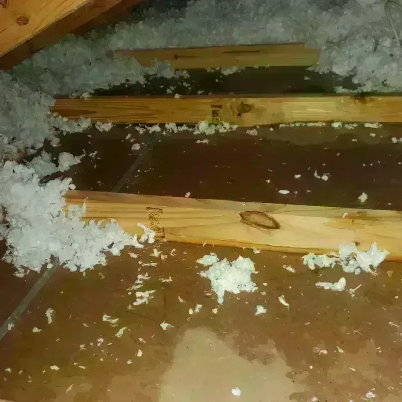 Attic Water Damage in Claiborne County, MS